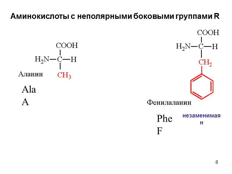 8 Аминокислоты с неполярными боковыми группами R Ala A Phe F незаменимая н